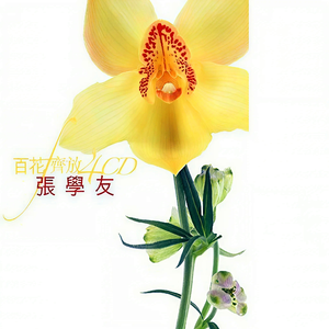 300MIUM系列最漂亮三个角色
