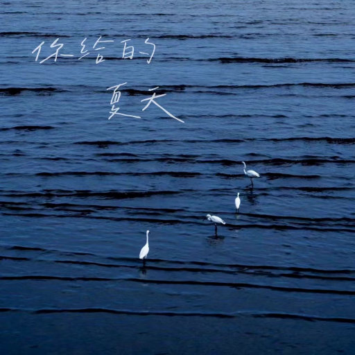 300MIUM系列最漂亮三个角色
